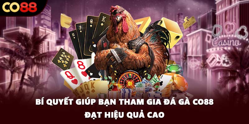 Bí quyết giúp bạn tham gia đá gà CO88 đạt hiệu quả cao