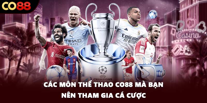 Các môn thể thao CO88 mà bạn nên tham gia cá cược