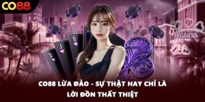 CO88 Lừa Đảo - Sự Thật Hay Chỉ Là Lời Đồn Thất Thiệt