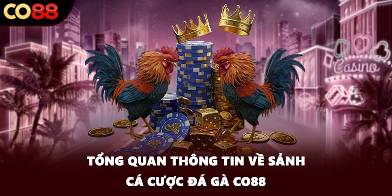 Tổng quan thông tin về sảnh cá cược đá gà CO88