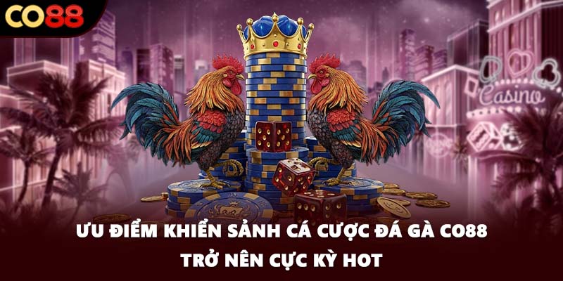 Ưu điểm khiển sảnh cá cược đá gà CO88 trở nên cực kỳ hot